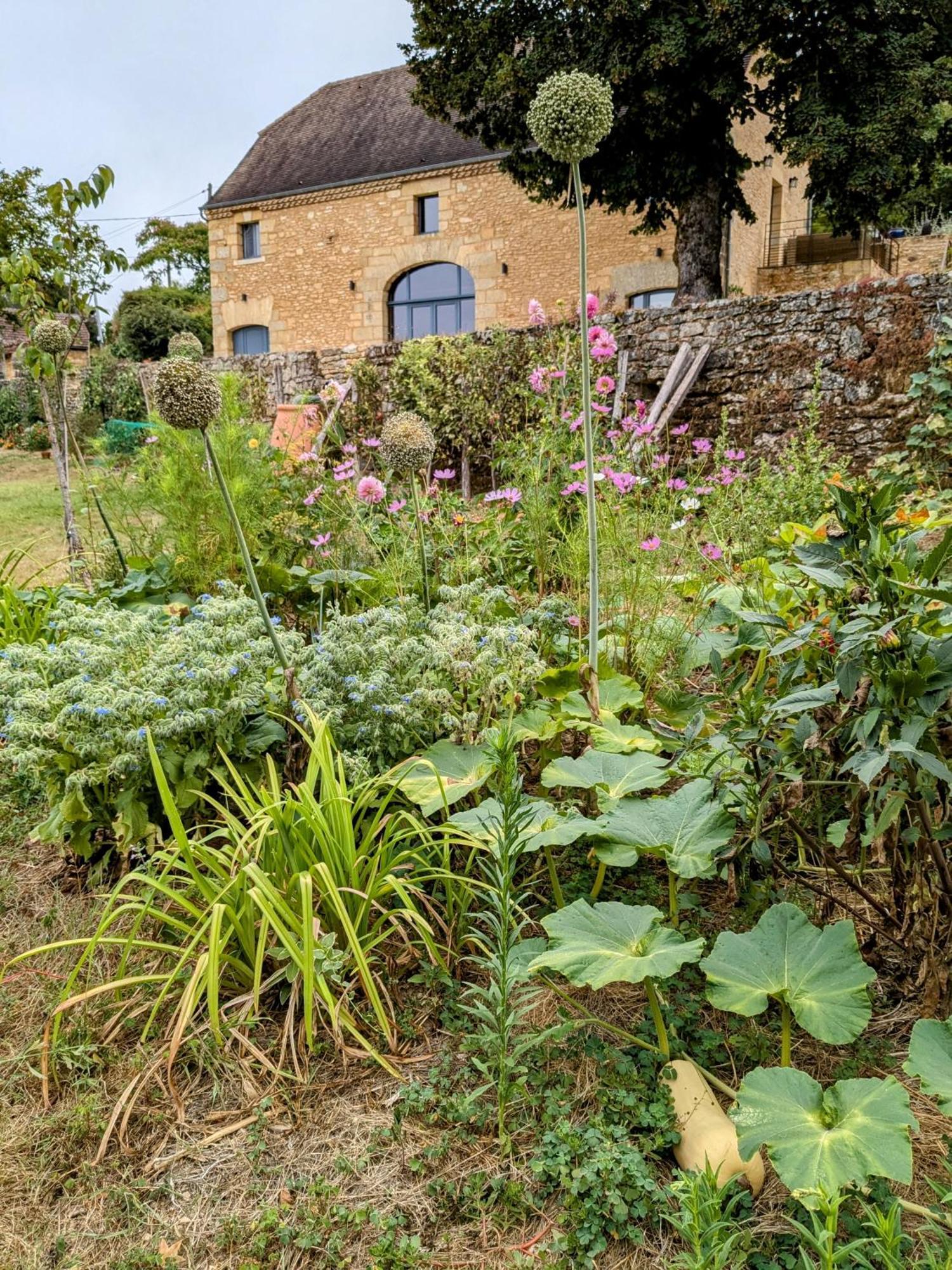 La Grange Symphorine, Chambre D'Hotes De Charme Situee Entre La Vallee De La Dordogne Et La Vallee De La Vezere Meyrals Exteriér fotografie